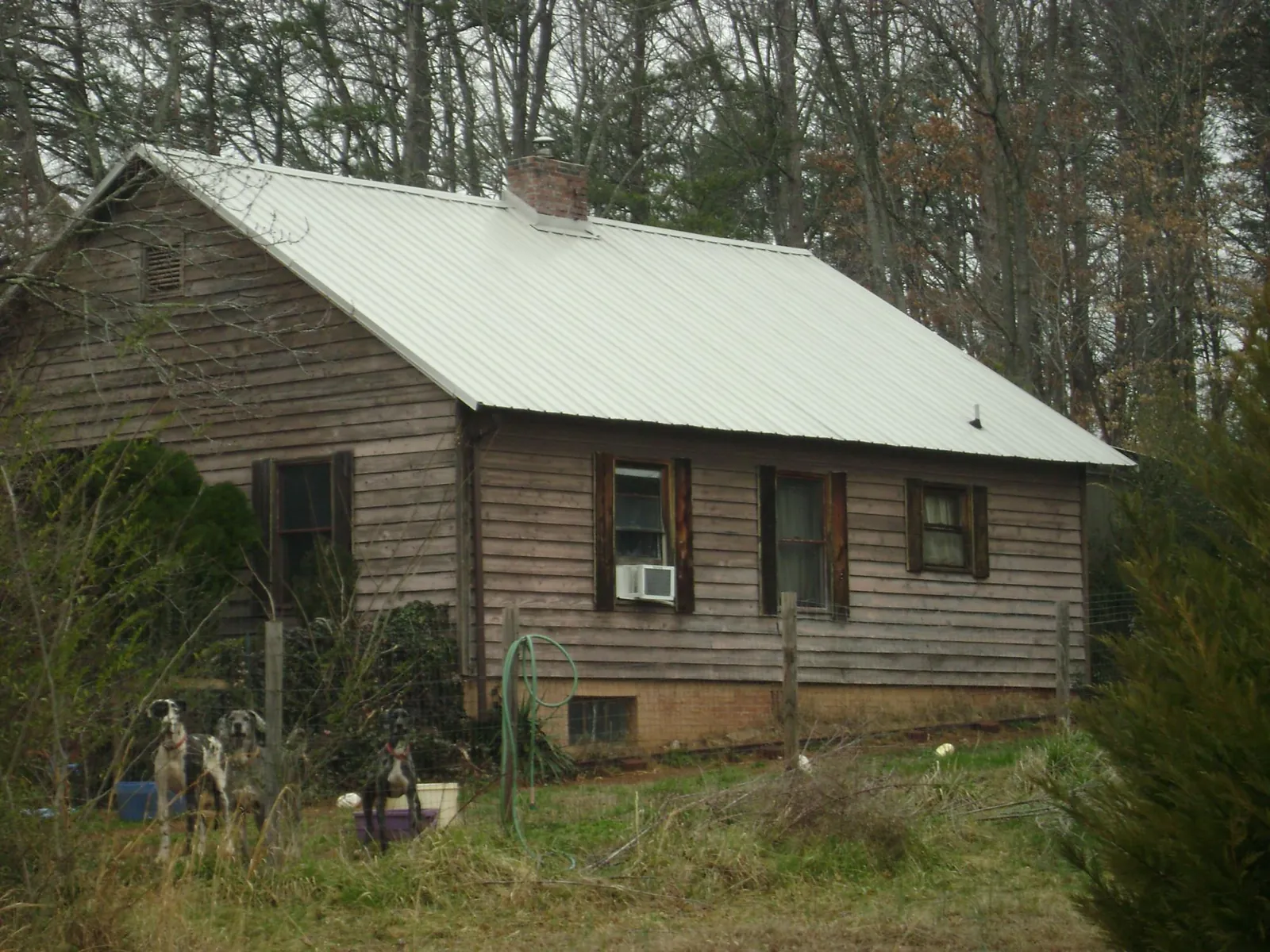 White metal roof on an old wood sided farmhouse, from a Asphalt Shingle Roof Repair job in Story City